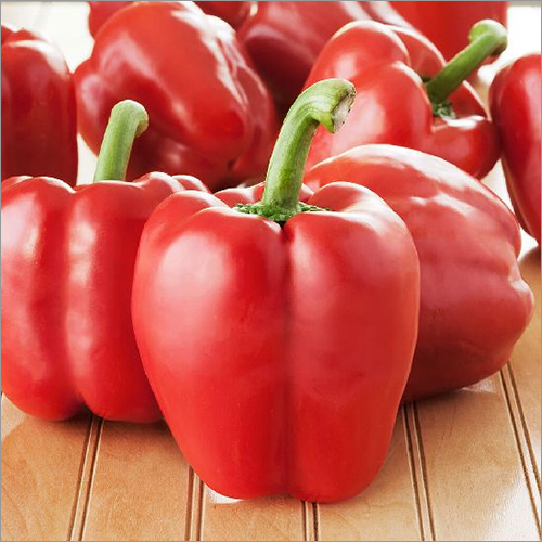 Fresh Red Bell Pepper