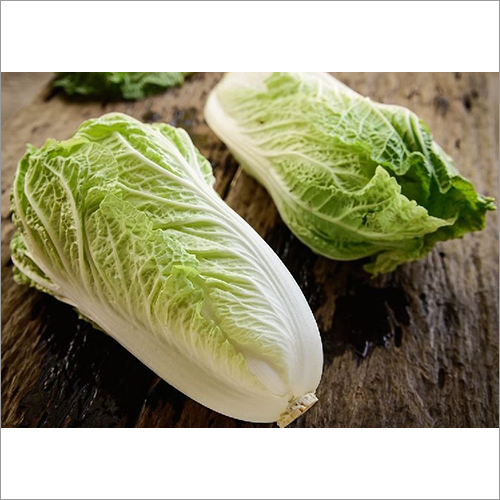 Fresh Chinese Cabbage By DEEP VEGETABLES COMPANY