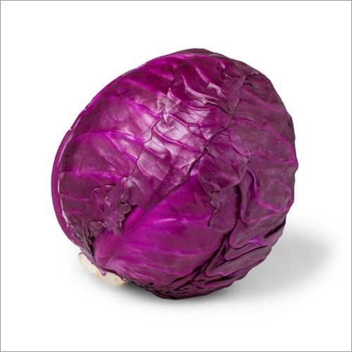 Fresh Purple Cabbage