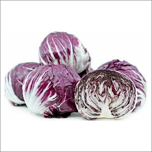 Fresh Radicchio Cabbage