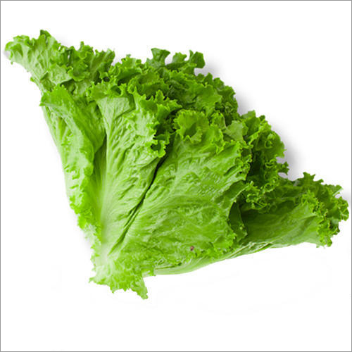 Fresh Lettuce Leaves