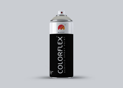 Colorflex Raddhi Grey Spray Paint