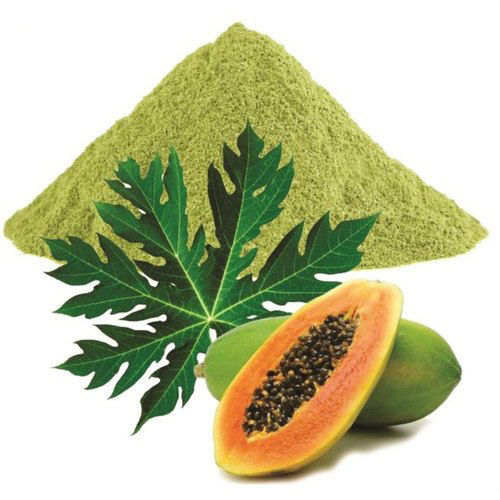 Papaya Leaves Powder