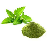 Pudina Leaves Powder (Mint)