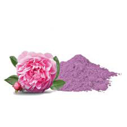 Rose Powder 100 Percent Pure