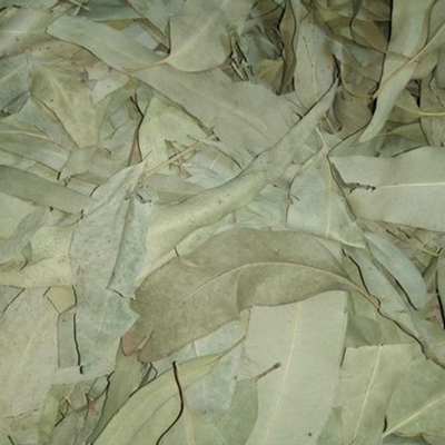 Eucalyplus (Nilgiri Leaves Powder By GANGA MEHANDI UDHYOG