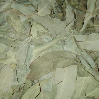 Eucalyplus (Nilgiri Leaves Powder)