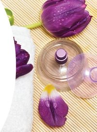 Gold Sandal Fine Fragrance
