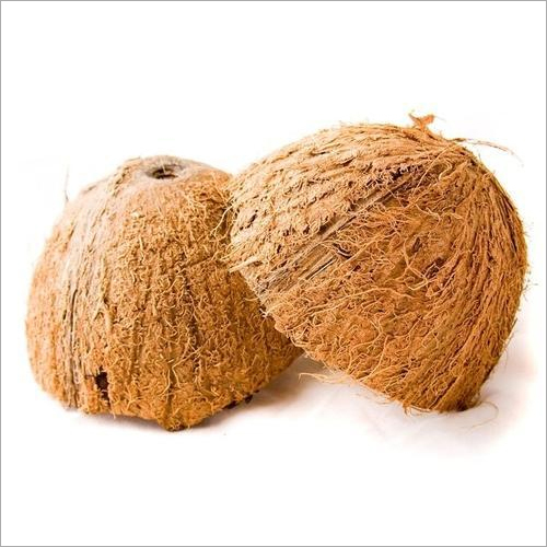 Brown Fresh Coconut Shell