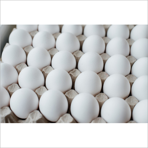White Eggs Egg Origin: Chicken