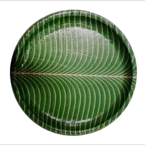 Green Dona Plate