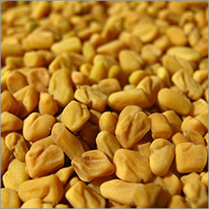 Fenugreek Seeds