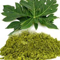 Yuktha Naturals Papaya Leaf Powder