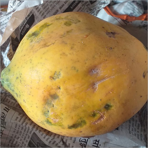Yellow Natural Papaya