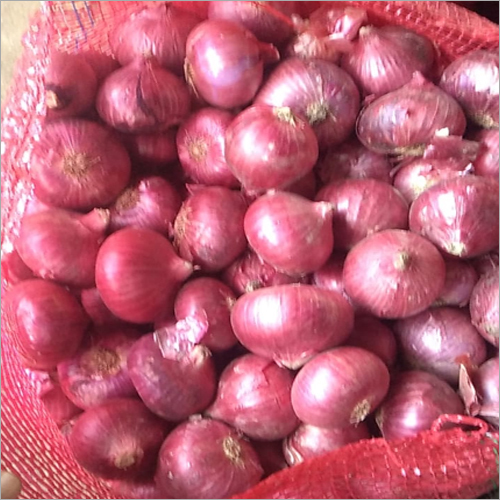Fresh Red Onion - Natural Shape | Organic Vegetable Rich in Fiber, Essential Nutrients, and Ideal for Enhancing Culinary Flavors