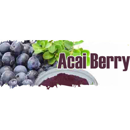 Acai Berry Extract By MAHAVEER HERBALS