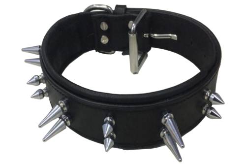 Collar With Spikes
