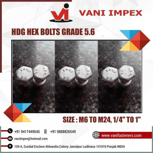 Hdg Hex Bolt Grade 5.6