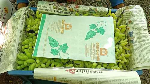 Green Sonaka Grapes By FARM TO GLOBAL
