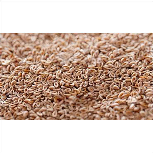 Organic Natural Psyllium Seeds