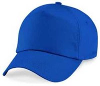 Cricket caps