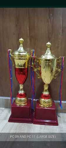 Cricket trophies