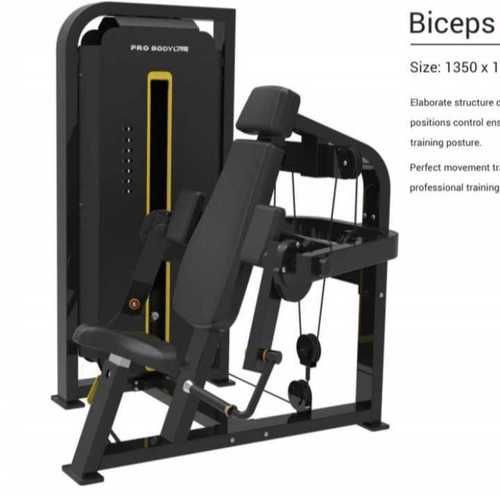 Biceps Curl