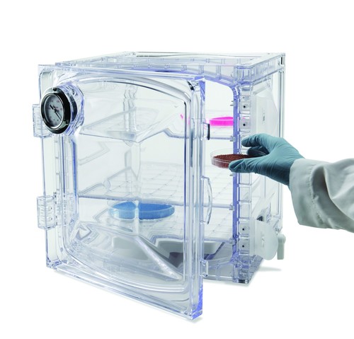 Sp Belart F42400-4001 Lab Companion Cabinet Style Vacuum Desiccators Application: Yes