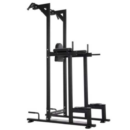 Vertical Knee Raise