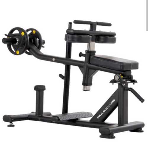 Seated Calf Machine