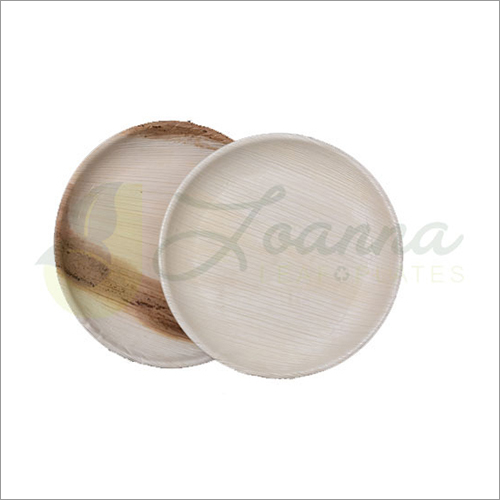 8 Inch Round Shallow Plate