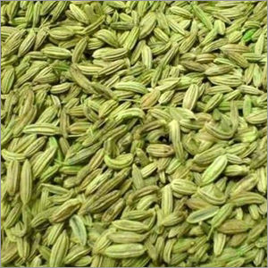 Green Fennel Seeds