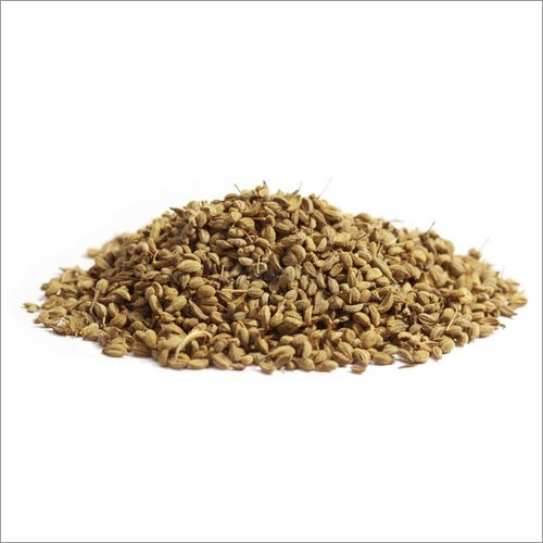 Common Ajwain Oil