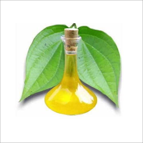 Common Betel Leaf Oil