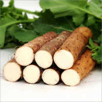 Wild Yam Extract