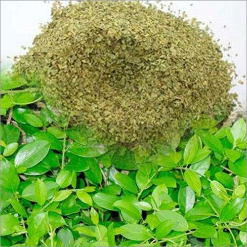 Gymnema Extract