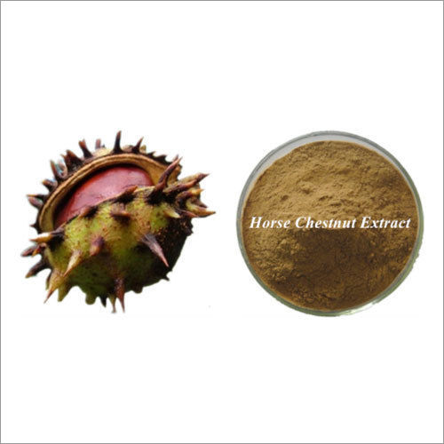 Horse Chestnut Extract