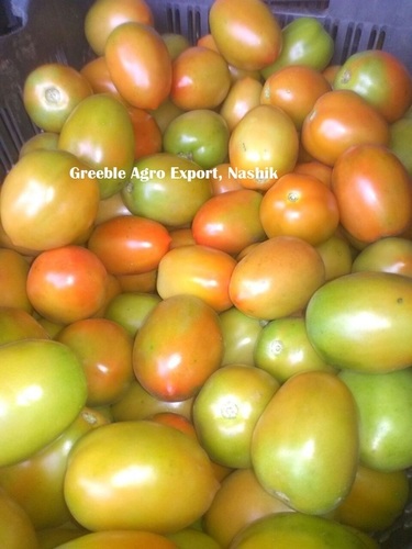 25 Kg Crate Packed Green and Red Tomato
