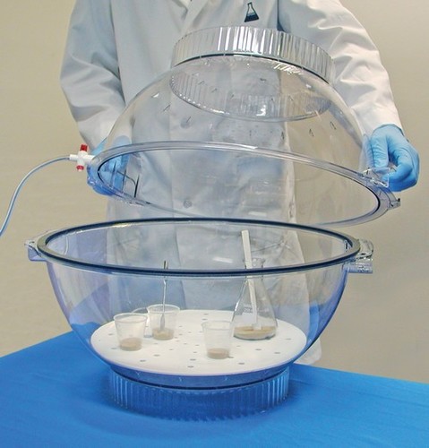 Sp Belart F42029 Techni-Dome Vacuum Desiccator Application: Yes