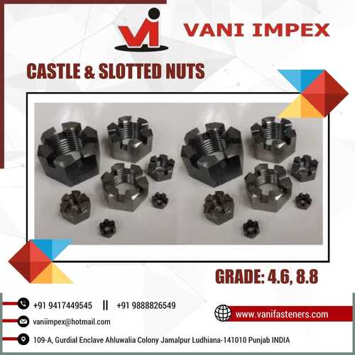 Castle/Slotted Nuts