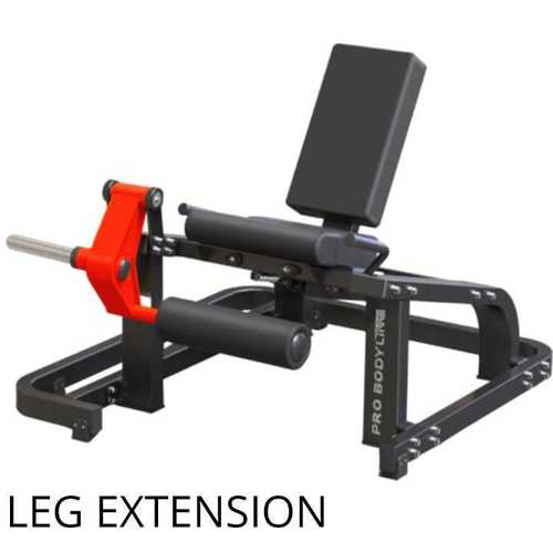 Leg Extension