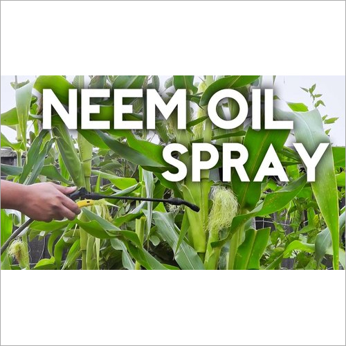 Neem Oil Spray