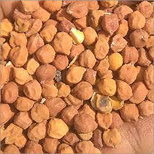Organic Black Chana