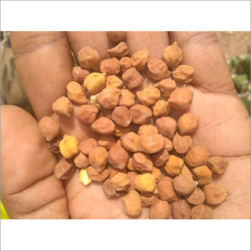 Organic Indian Black Chana