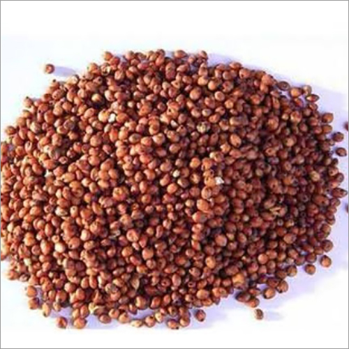 Organic Pure Black Chana