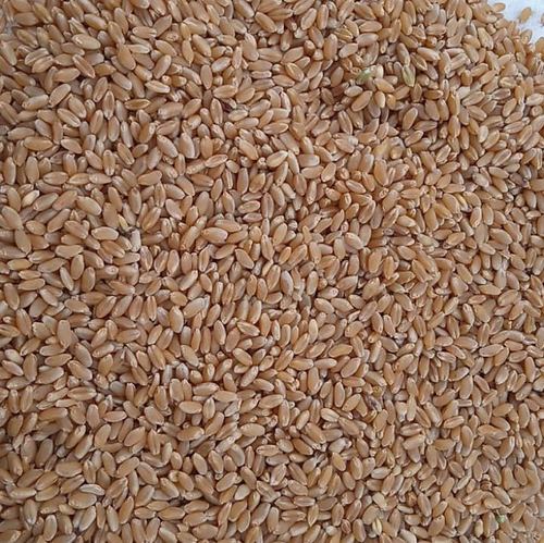 Milling Wheat