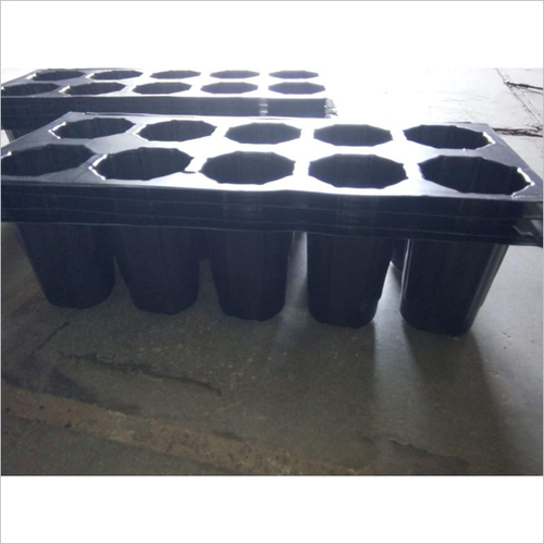 10 Cavity Seedling Tray