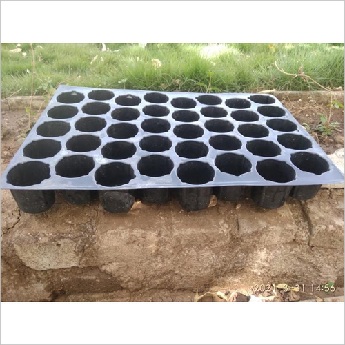 40 Cavity Seedling Tray