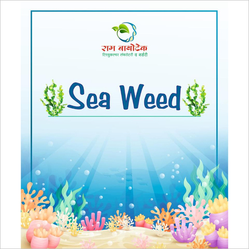 Sea Weed