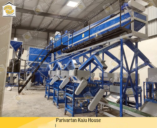 Automatic Cashew Processing plant